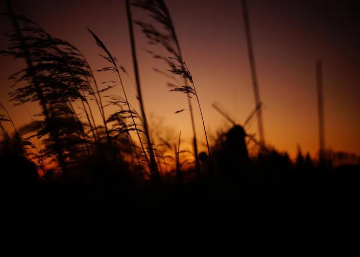 Διαμέρισμα Duever