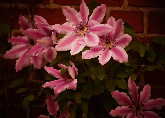 Διαμέρισμα Duever